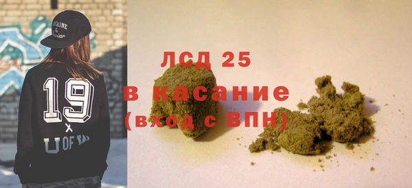 шишки Бикин