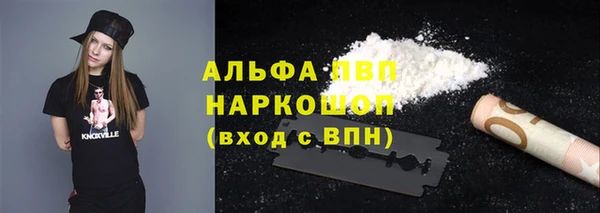 PSILOCYBIN Новозыбков