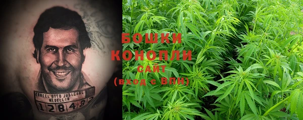 PSILOCYBIN Новозыбков