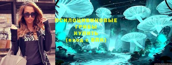 метадон Новодвинск