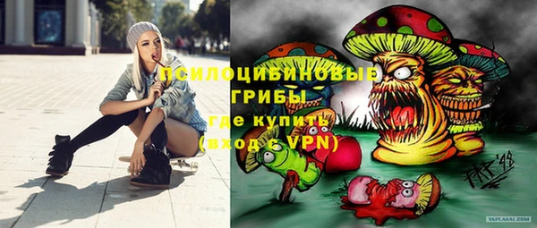 молекула духа Козловка