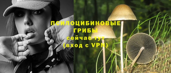 PSILOCYBIN Новозыбков