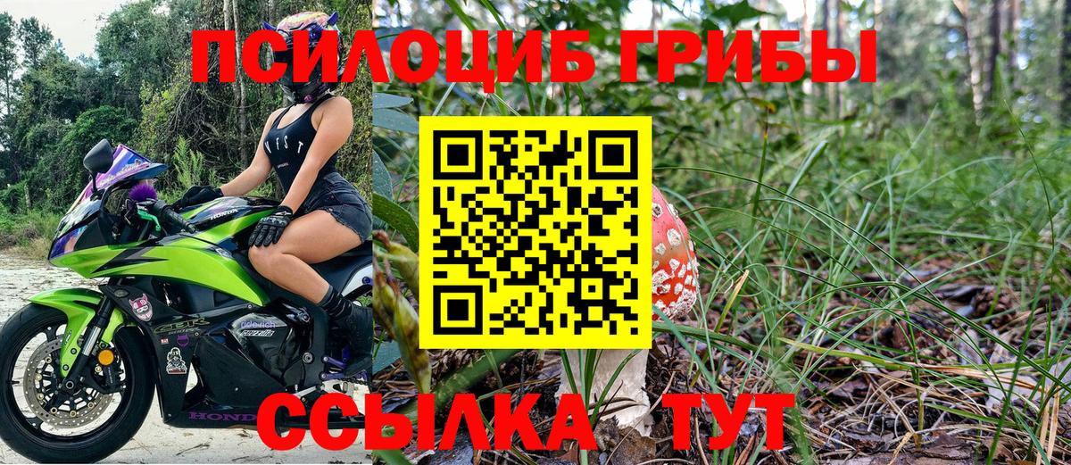 Псилоцибиновые грибы Psilocybine cubensis  Вход с VPN  Верхняя Салда 