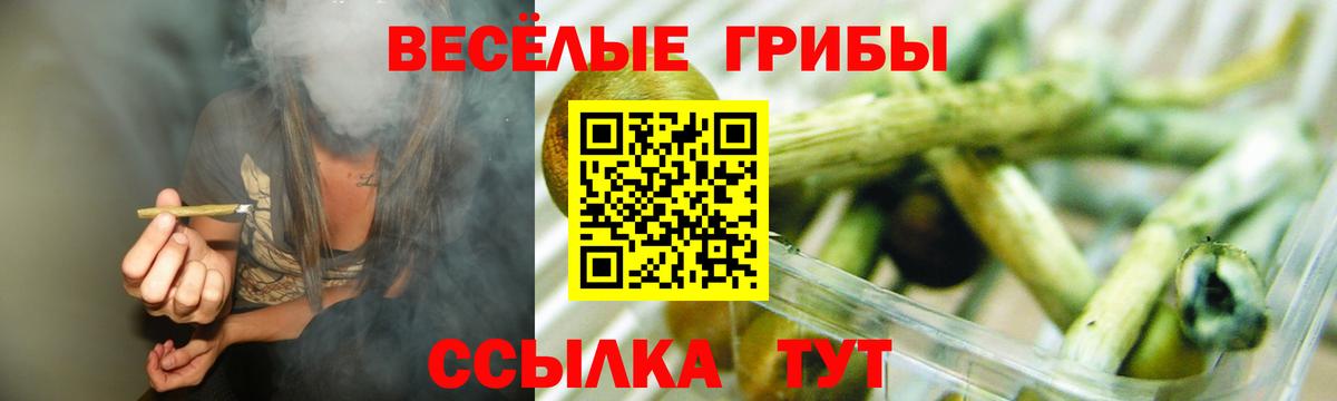 Псилоцибиновые грибы Psilocybine cubensis Верхняя Салда